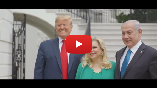 Under President Trump, the world was at peace. Under Kamala Harris, the world is at war.