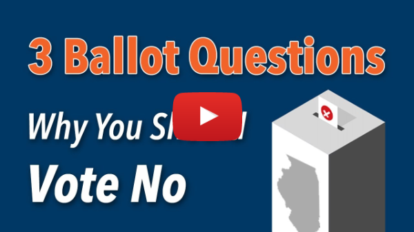 Illinois 2024: Three Questions on the Ballot