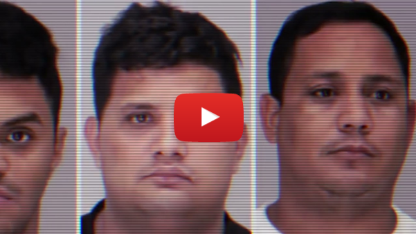 COMING SOON: OPERATION AURORA 👀