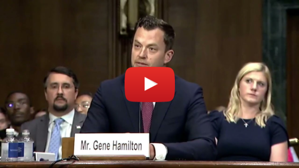 WRECKED. Must watch! Senator Hirono fails on attempted gotcha question on DEI WRECKED. Must watch! Senator Hirono fails on attempted gotcha question on DEI