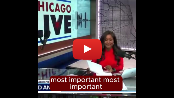 Failure of Sanctuary Policies #chicago #cookcounty #illinois #lawenforcement #sanctuarycity #ice